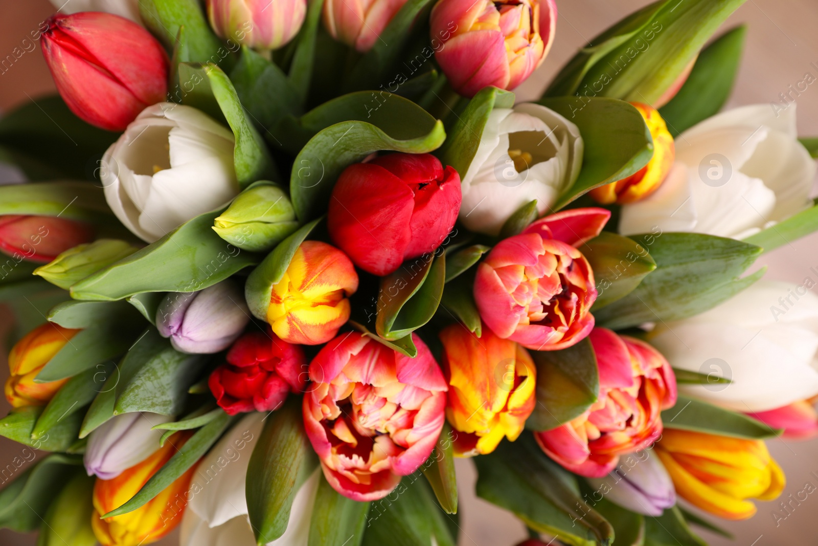 Photo of Beautiful bouquet of colorful tulip flowers, closeup