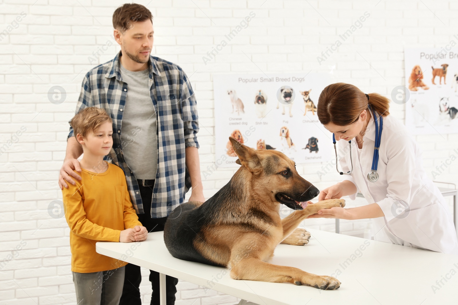Photo of Father and son with their pet visiting veterinarian in clinic. Doc examining dog's paw