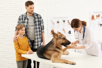 Photo of Father and son with their pet visiting veterinarian in clinic. Doc examining dog's paw