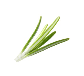 Photo of Fresh green rosemary leaves on white background