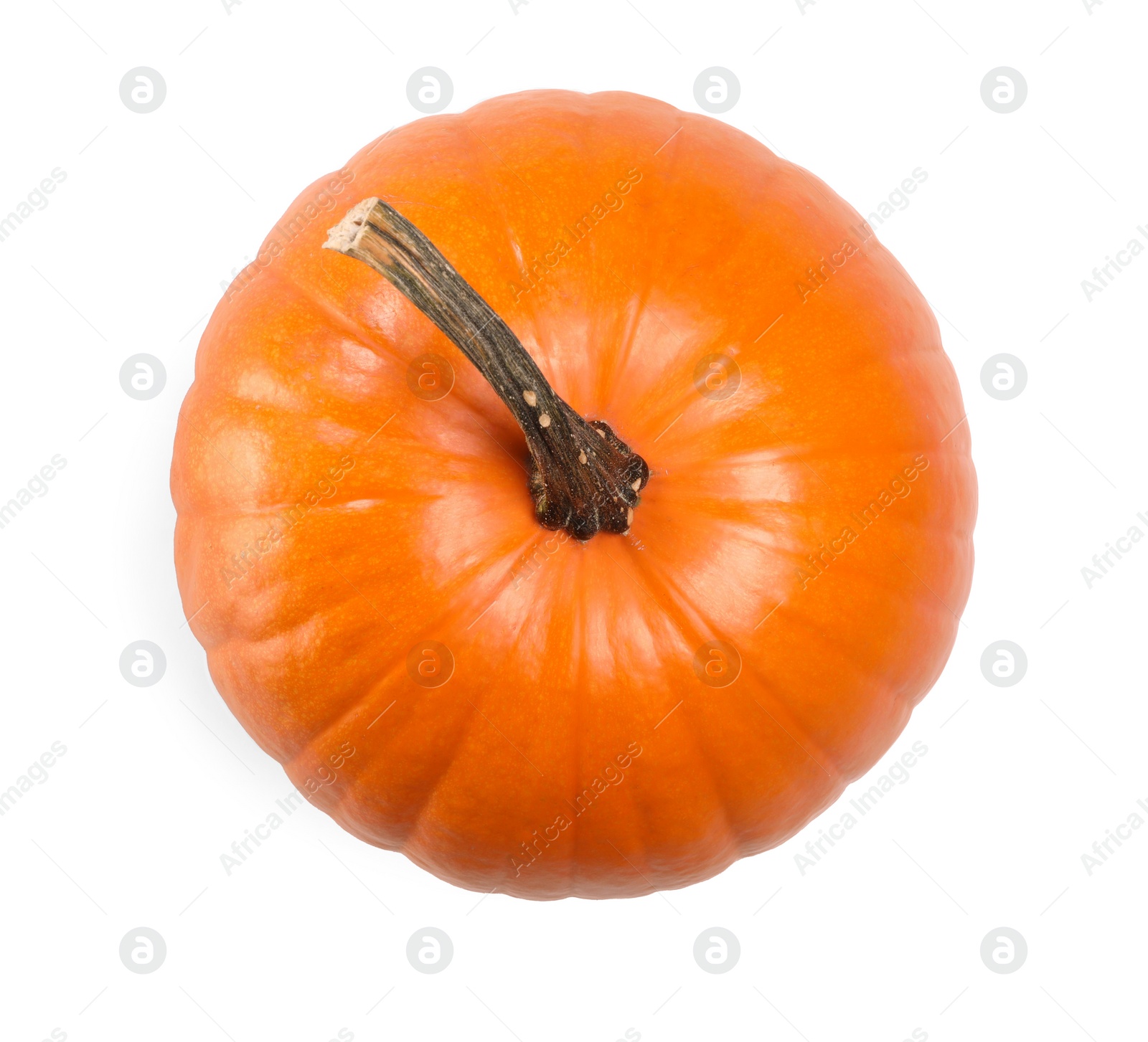 Photo of One fresh orange pumpkin isolated on white, top view