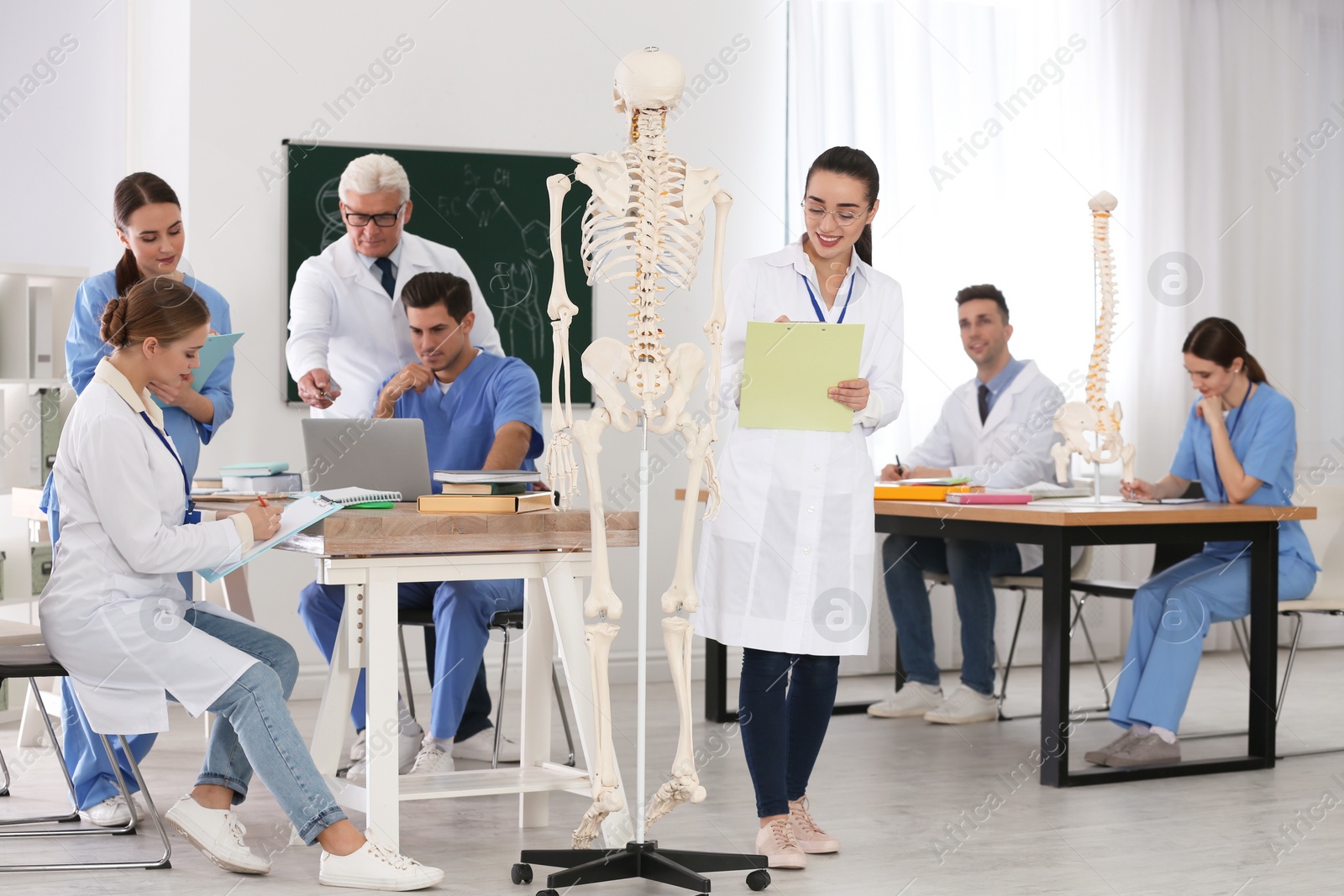 Photo of Medical students and professor studying human skeleton anatomy in classroom