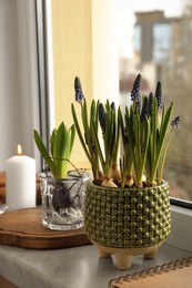 Photo of Beautiful bulbous plants and candle on windowsill indoors. Spring time