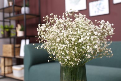 Photo of Beautiful gypsophila flowers in vase indoors, closeup