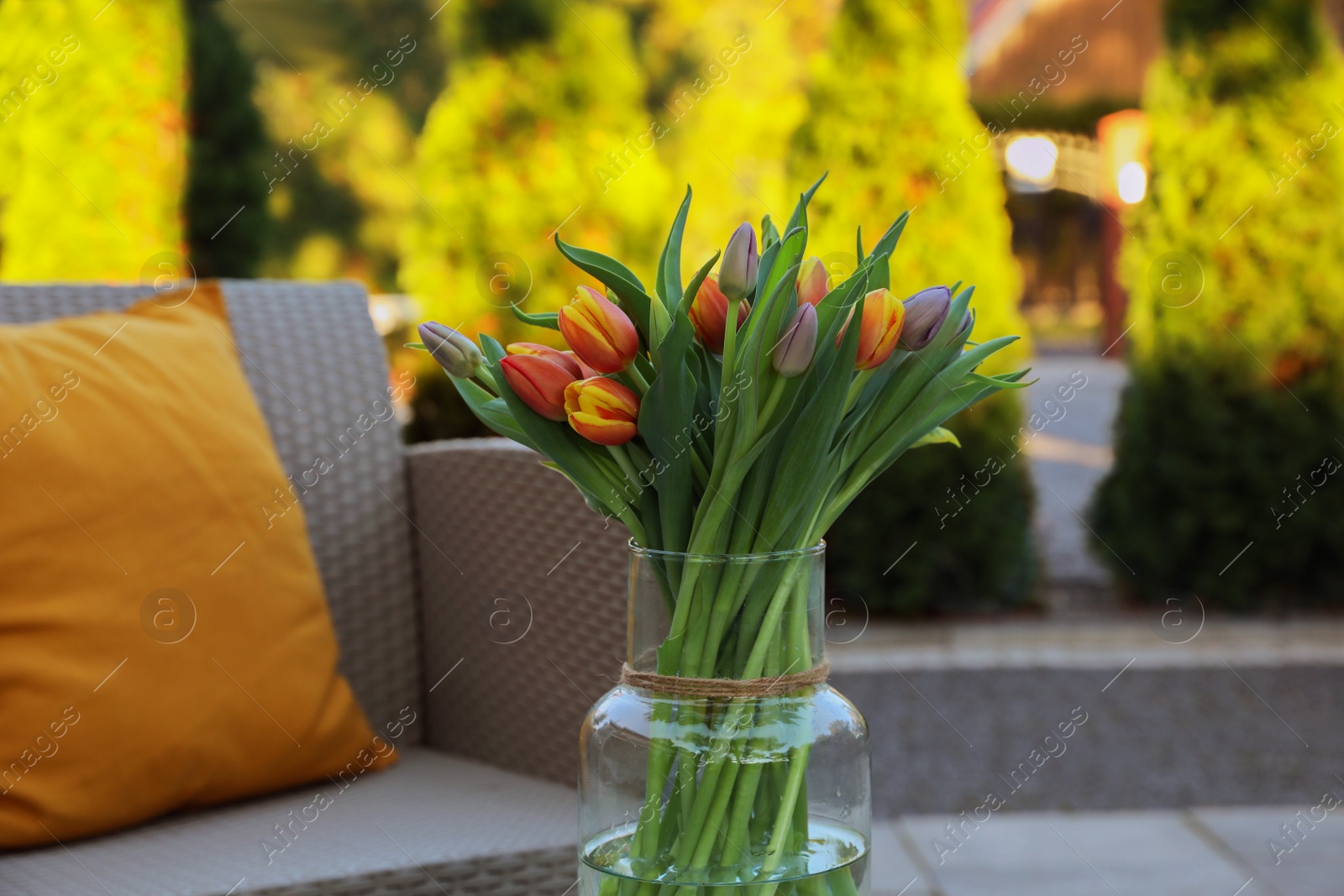 Photo of Beautiful bouquet of colorful tulips in glass vase outdoors