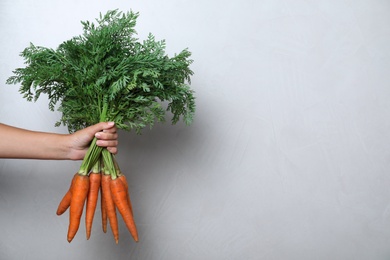 Photo of Woman holding ripe carrots on light background, closeup. Space for text