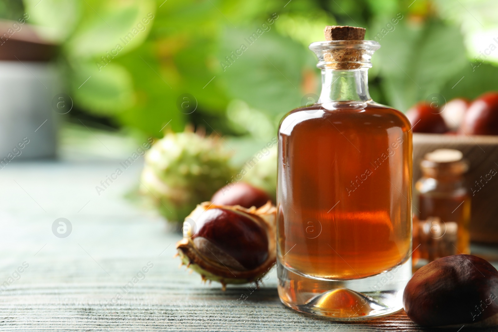 Photo of Chestnuts and bottle of essential oil on blue wooden table. Space for text