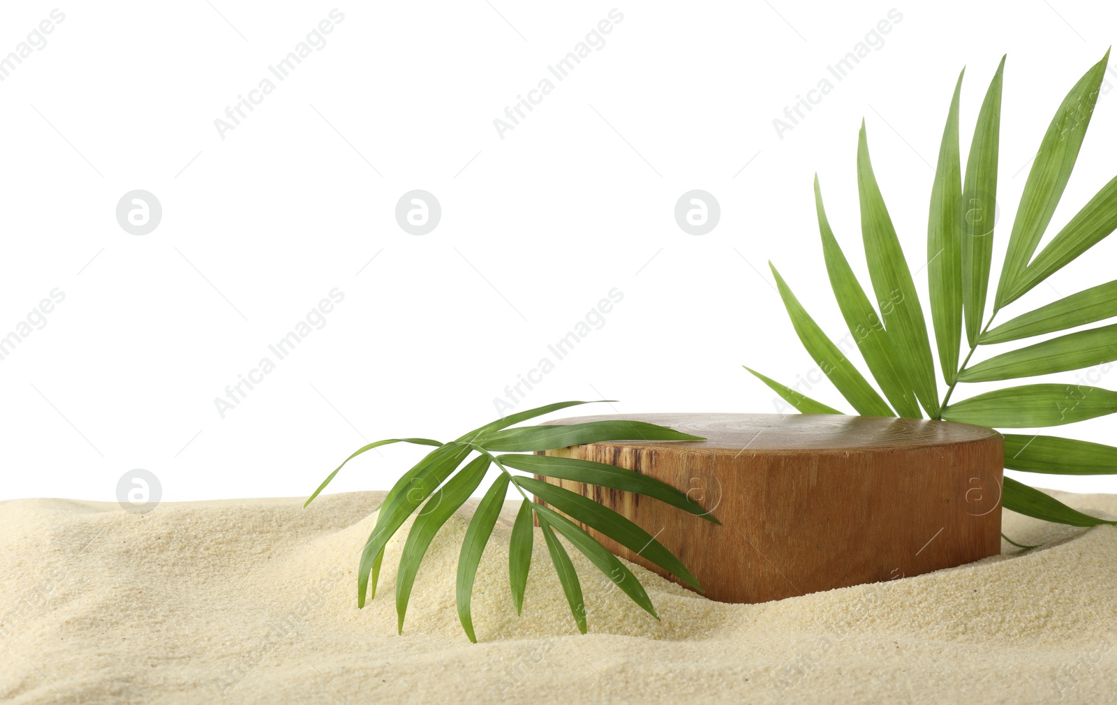 Photo of Presentation of product. Wooden podium and palm leaves on sand against white background