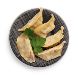 Photo of Delicious gyoza (asian dumplings) with parsley isolated on white, top view