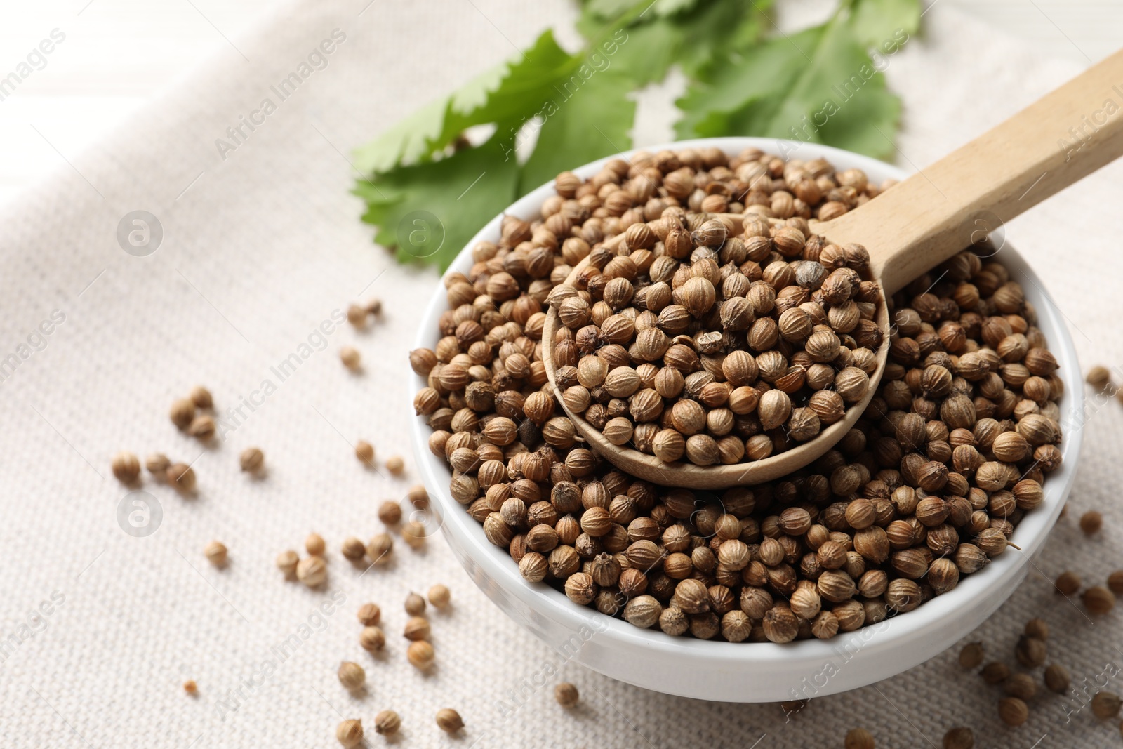 Photo of Dried coriander seeds in bowl and spoon on light cloth, closeup