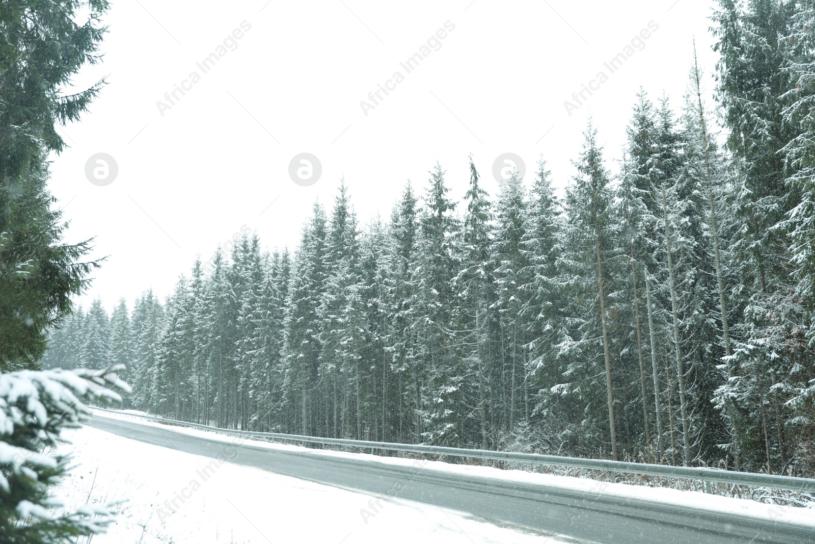 Photo of Beautiful landscape with conifer forest and road on snowy winter day