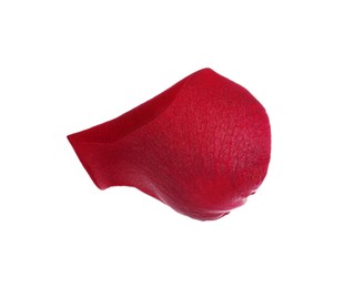 Red rose flower petal on white background