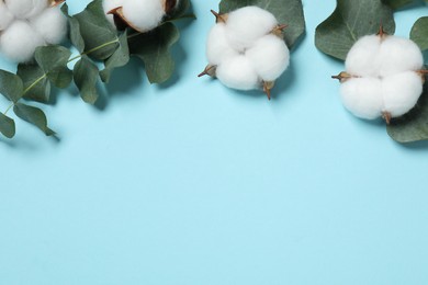 Photo of Cotton flowers and eucalyptus leaves on light blue background, flat lay. Space for text