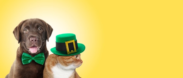 Image of St. Patrick's day celebration. Cute cat in leprechaun hat and dog with green bow tie on yellow background. Banner design with space for text