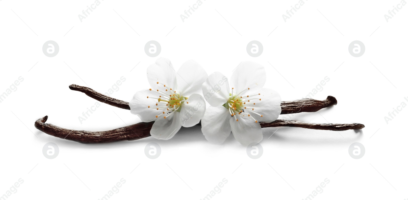 Photo of Vanilla sticks and flowers on white background