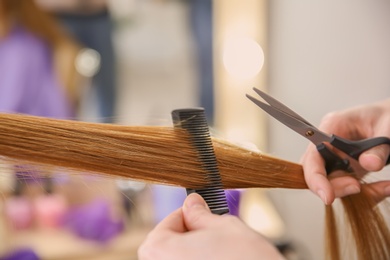 Professional hairdresser working with client in salon