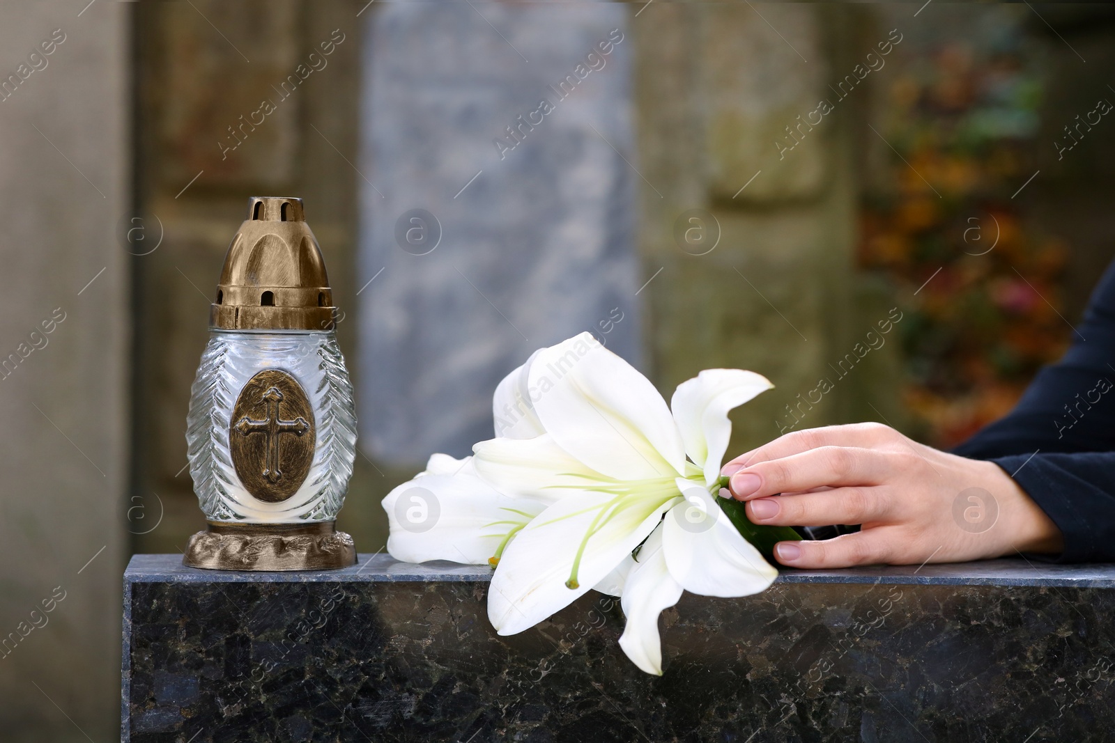 Photo of Woman putting white lilies and grave lantern on tombstone at cemetery, closeup