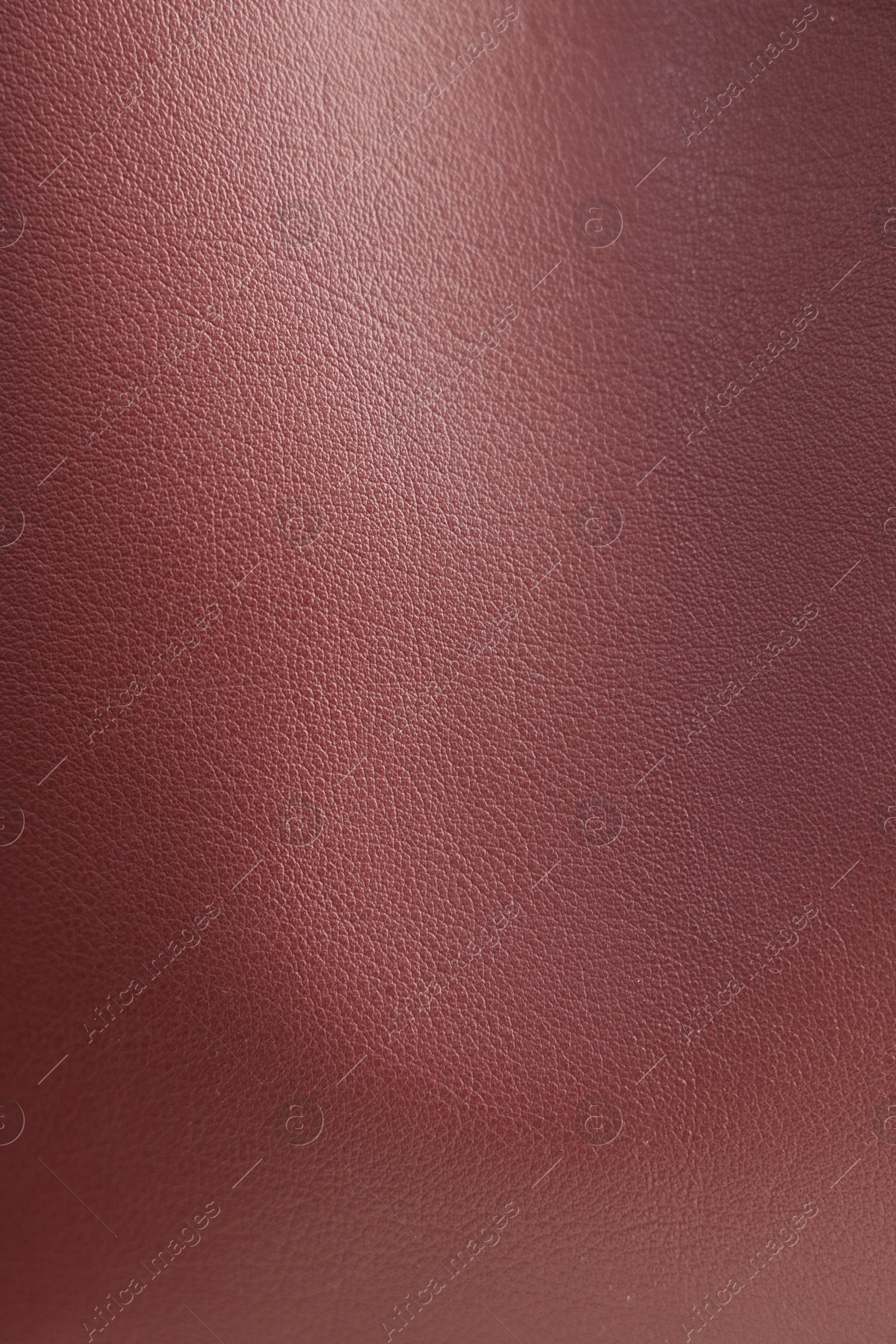 Photo of Texture of leather as background, closeup view