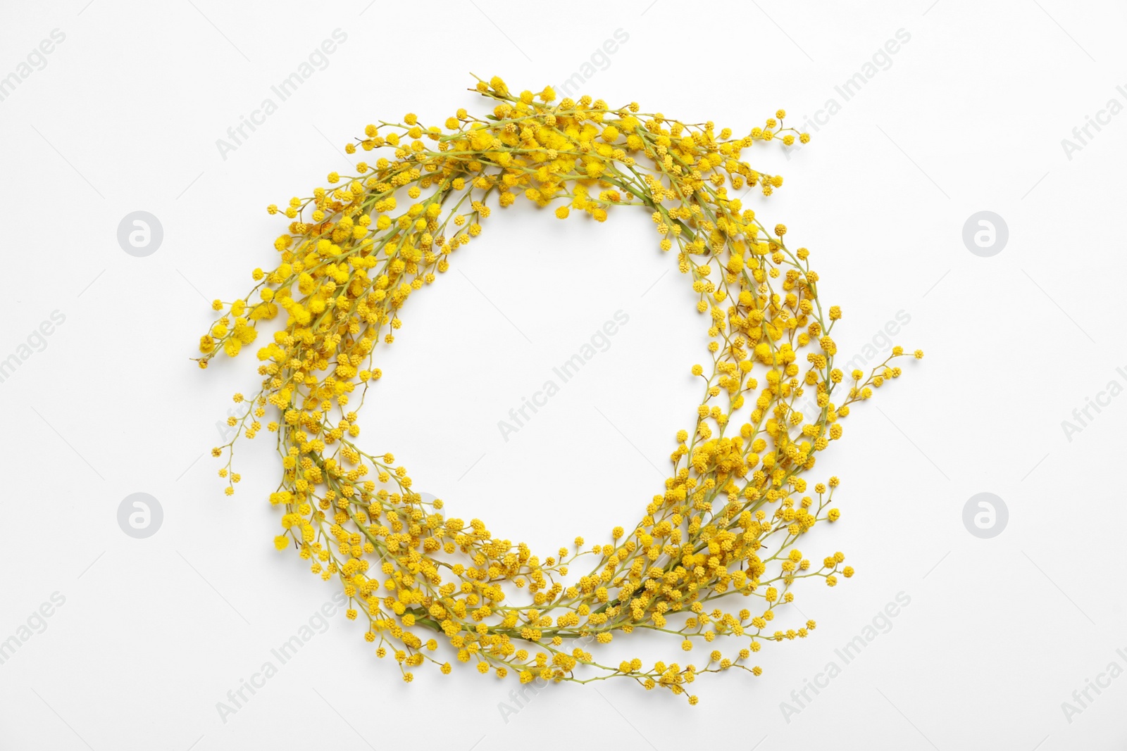 Photo of Frame of beautiful mimosa flowers on white background, top view. Space for text
