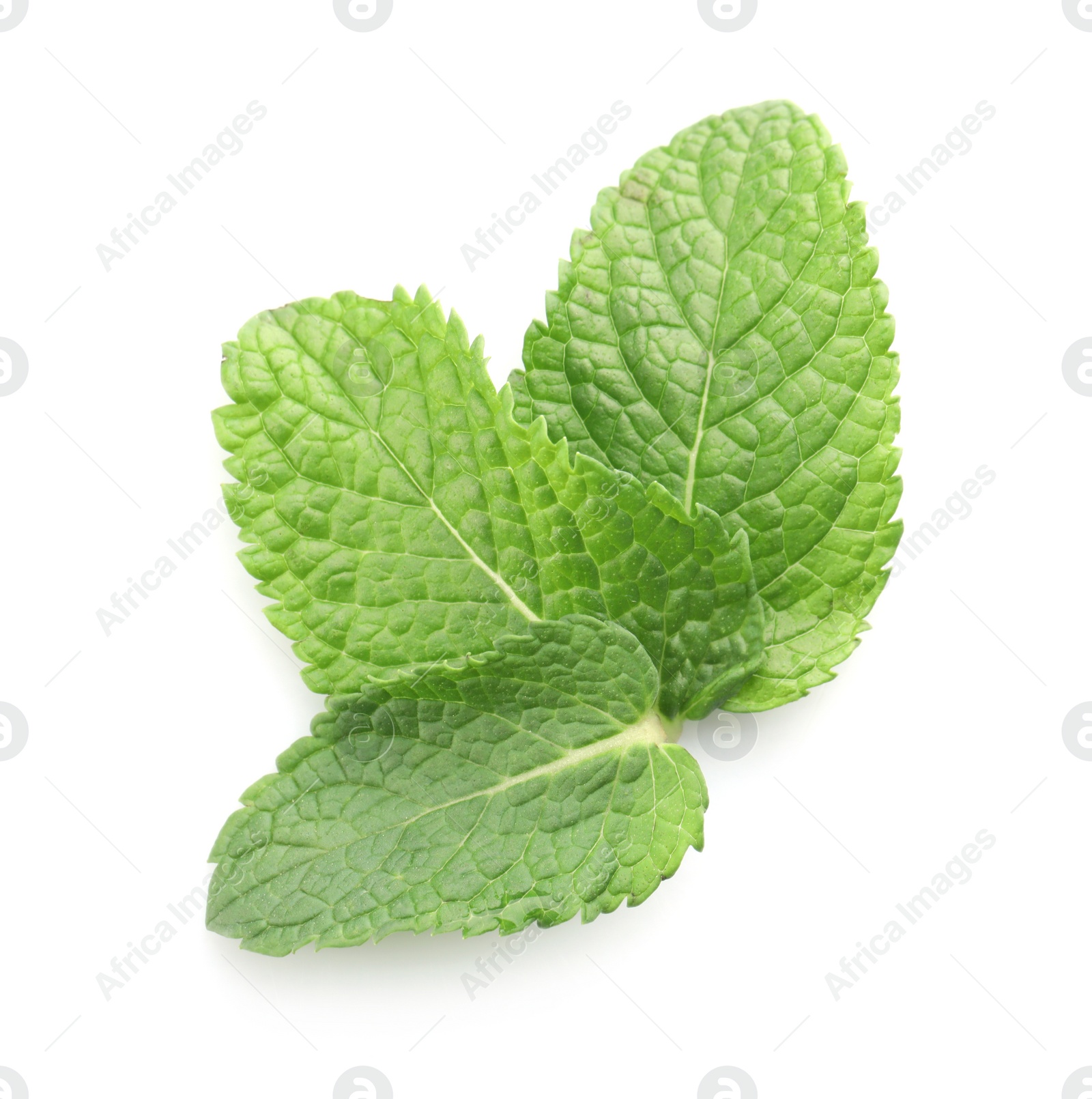 Photo of Fresh green mint leaves isolated on white, top view