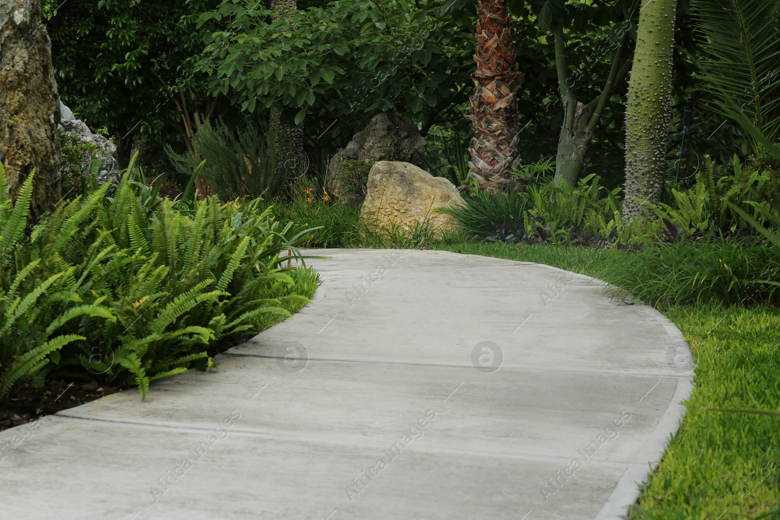 Photo of Beautiful view of park with green plants