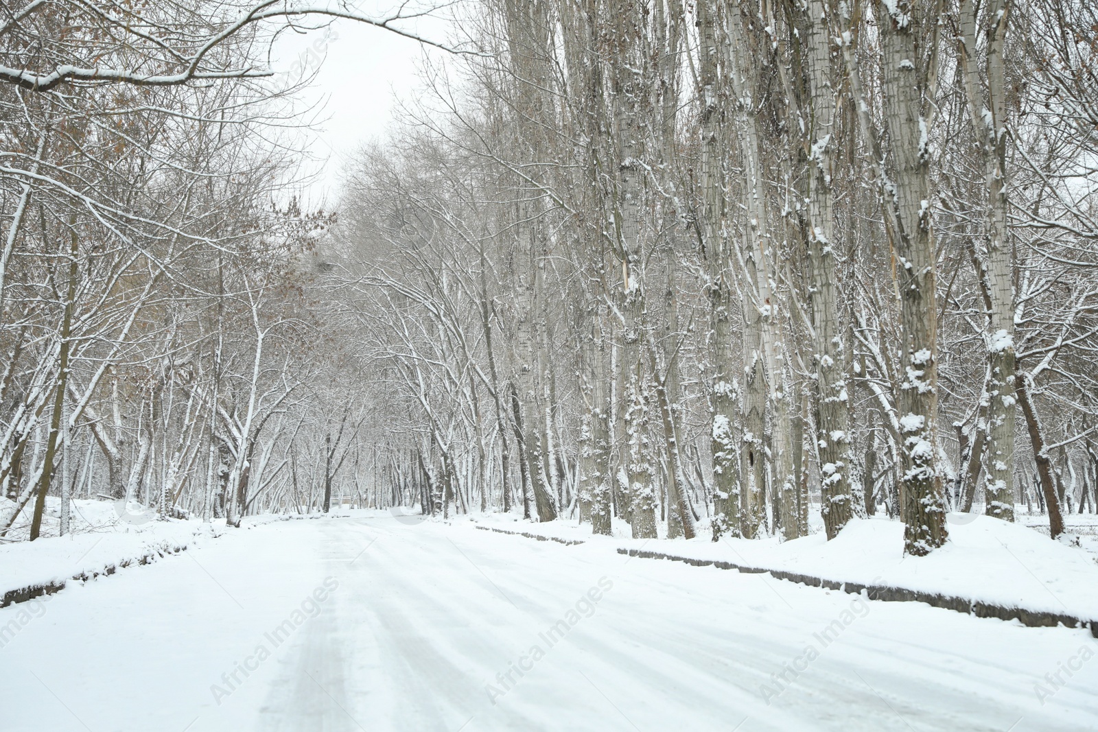 Photo of Picturesque view of countryside on winter day