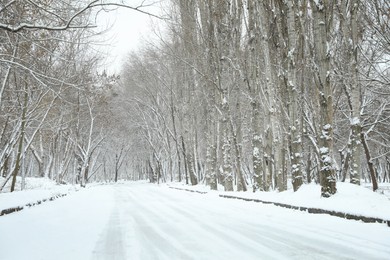 Picturesque view of countryside on winter day