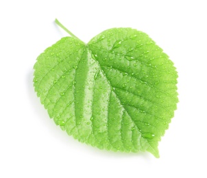 Photo of Green leaf with dew on white background