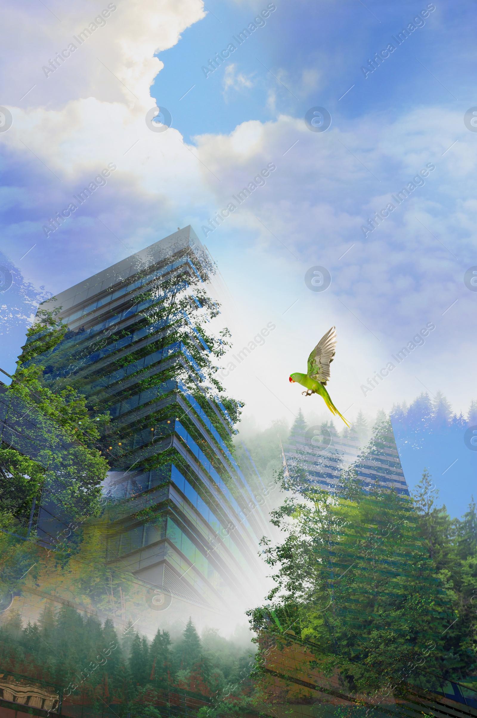 Image of Double exposure of green trees and buildings