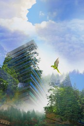 Image of Double exposure of green trees and buildings