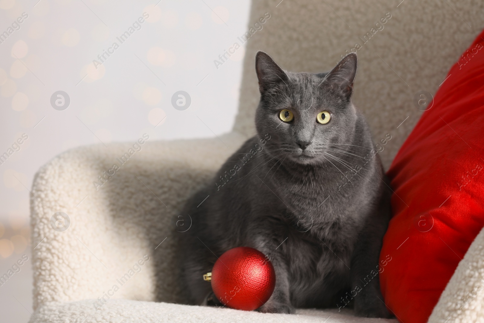 Photo of Cute cat with Christmas ball on armchair indoors