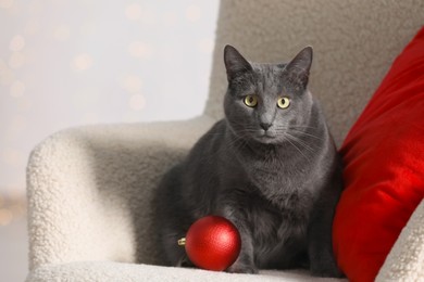 Photo of Cute cat with Christmas ball on armchair indoors