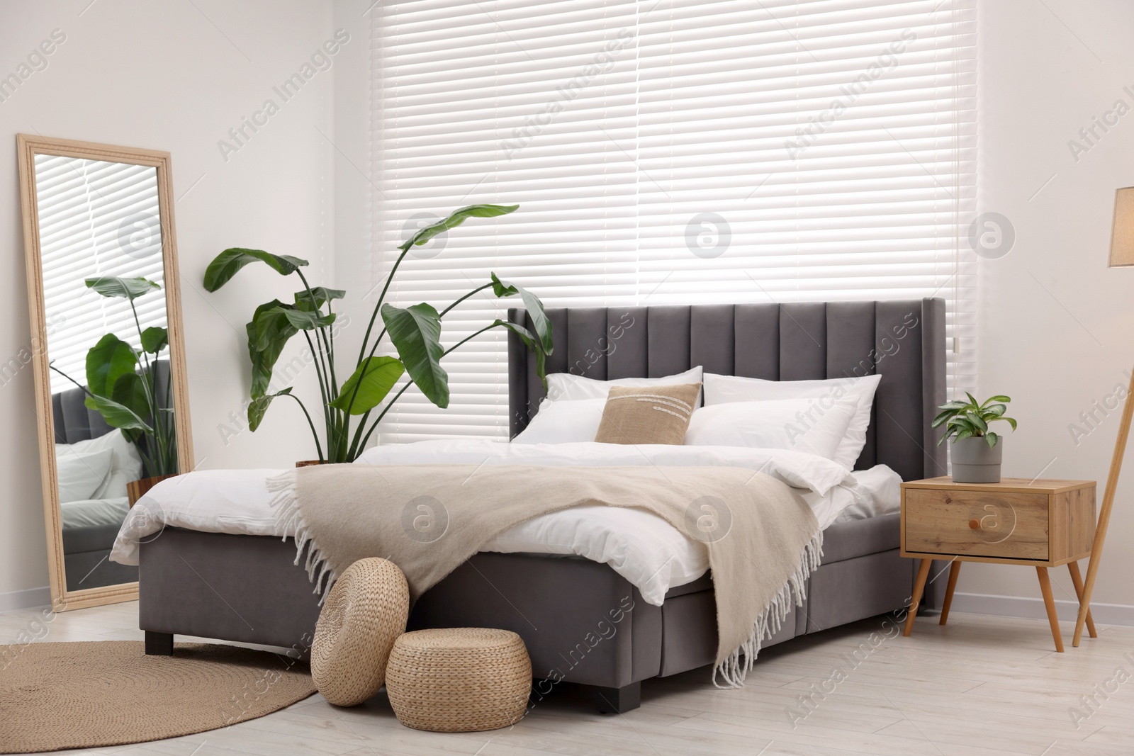 Photo of Stylish bedroom interior with large bed, mirror and houseplants