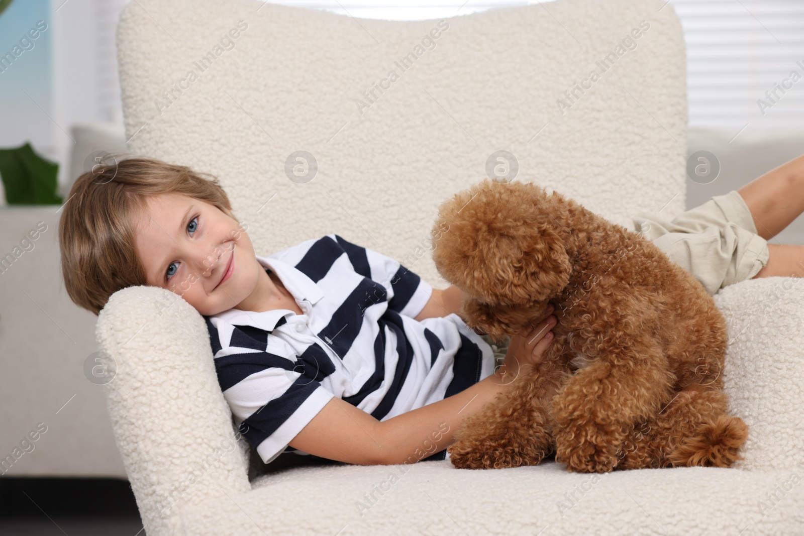 Photo of Little child with cute puppy in armchair at home. Lovely pet