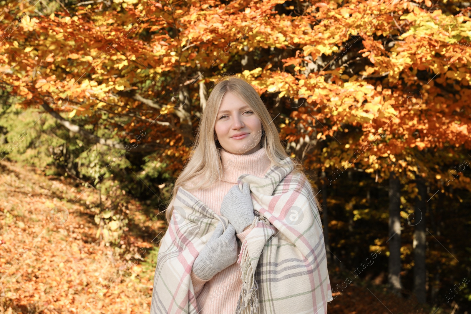 Photo of Portrait of beautiful young woman near forest in autumn