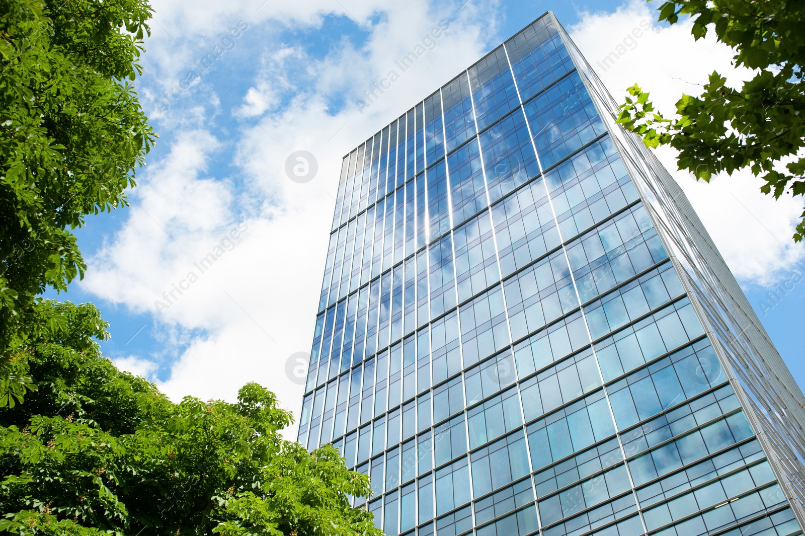 Photo of Stylish building with many windows near trees under cloudy sky, low angle view