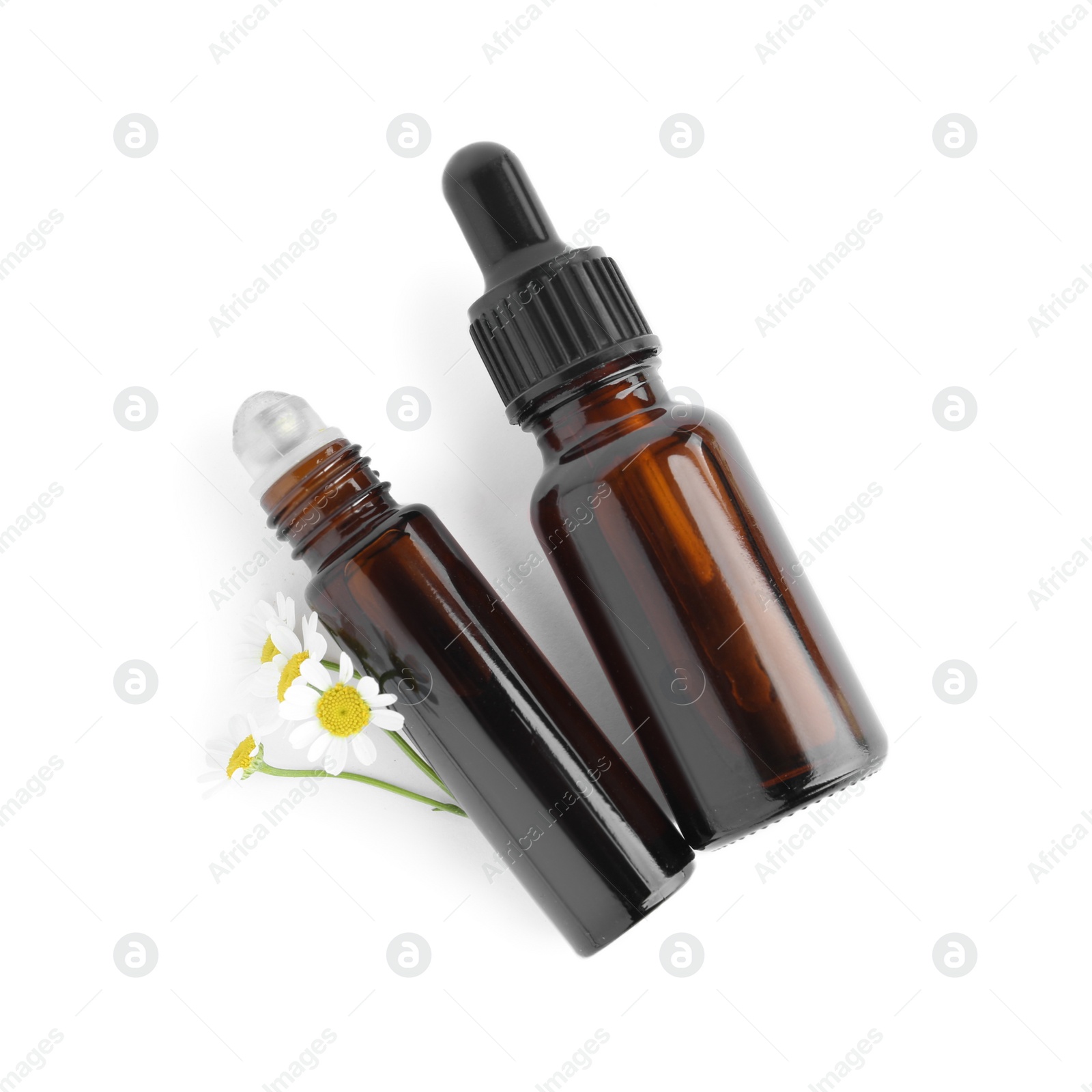 Photo of Bottles of essential oil and fresh chamomiles isolated on white, top view
