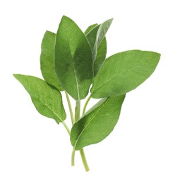 Photo of Fresh green sage leaves on white background