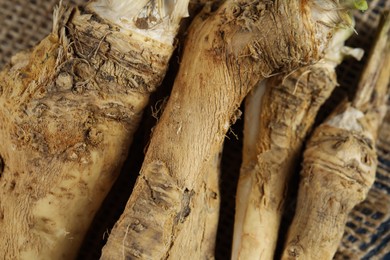 Photo of Fresh horseradish roots on table, closeup view