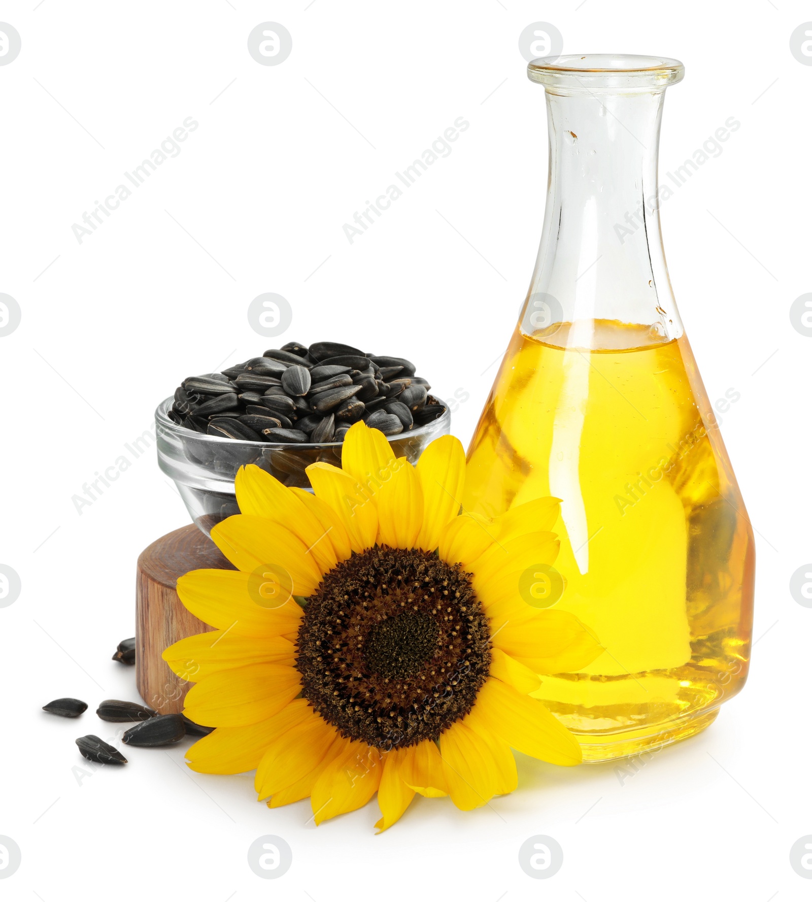 Photo of Sunflower, bottle of oil and seeds on white background