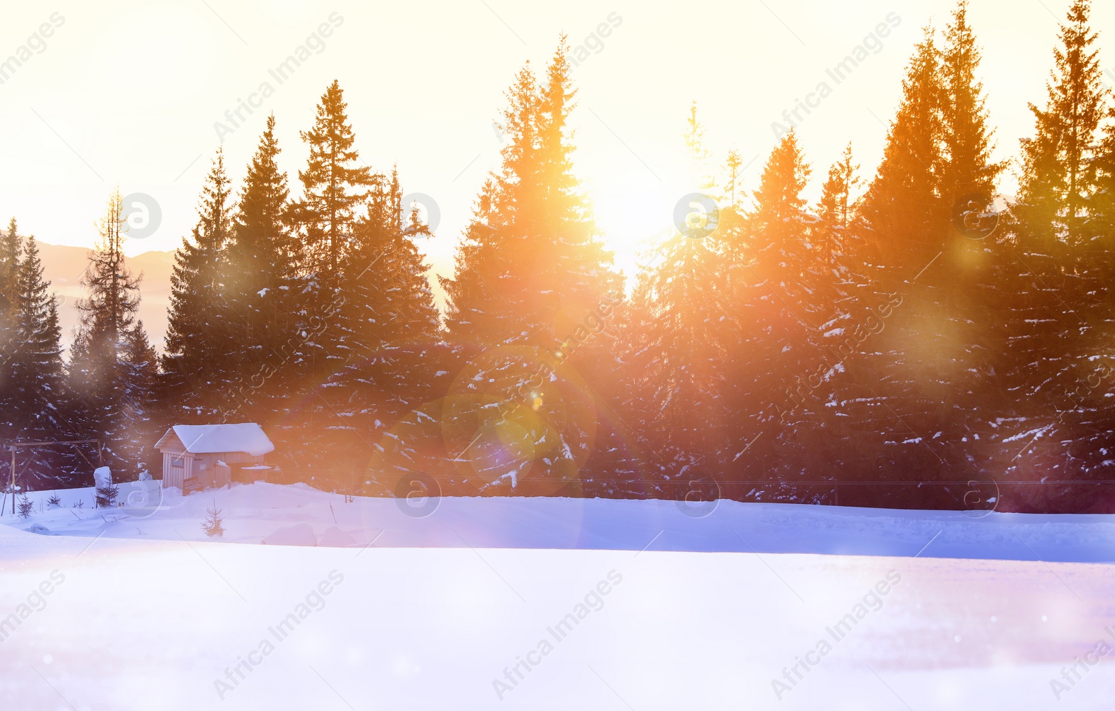 Image of Beautiful mountain landscape and snowy forest in winter