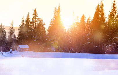 Image of Beautiful mountain landscape and snowy forest in winter