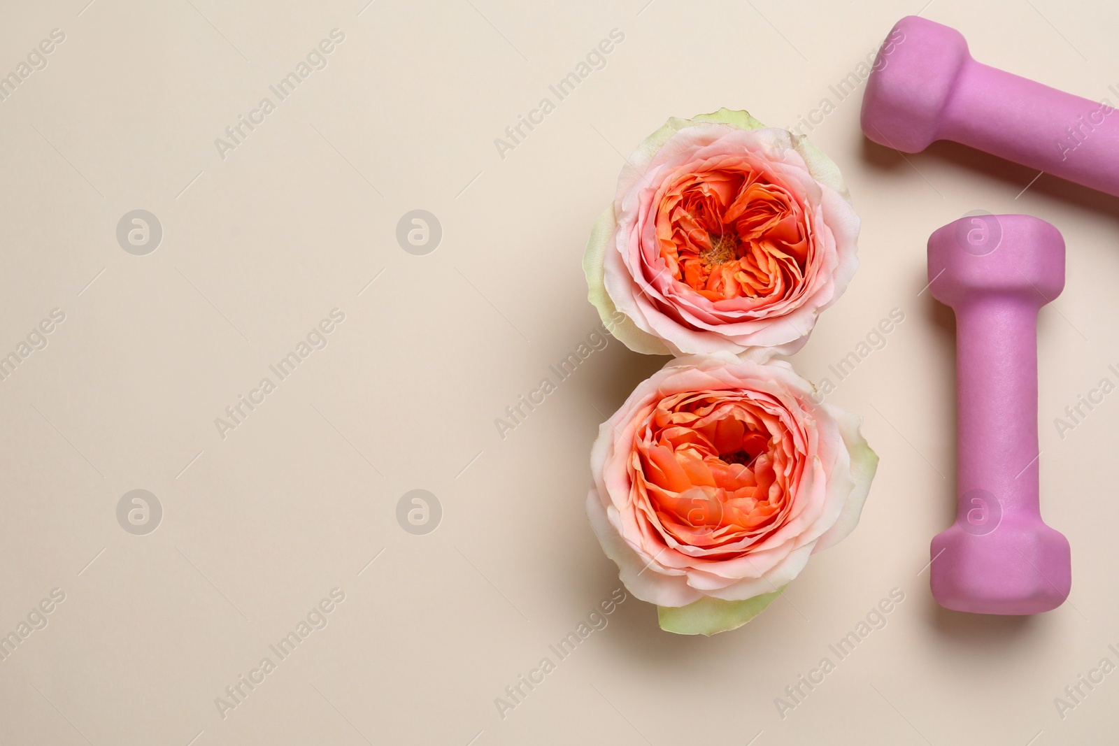 Photo of 8 March greeting card design with roses, dumbbells and space for text on beige background, flat lay. International Women's day