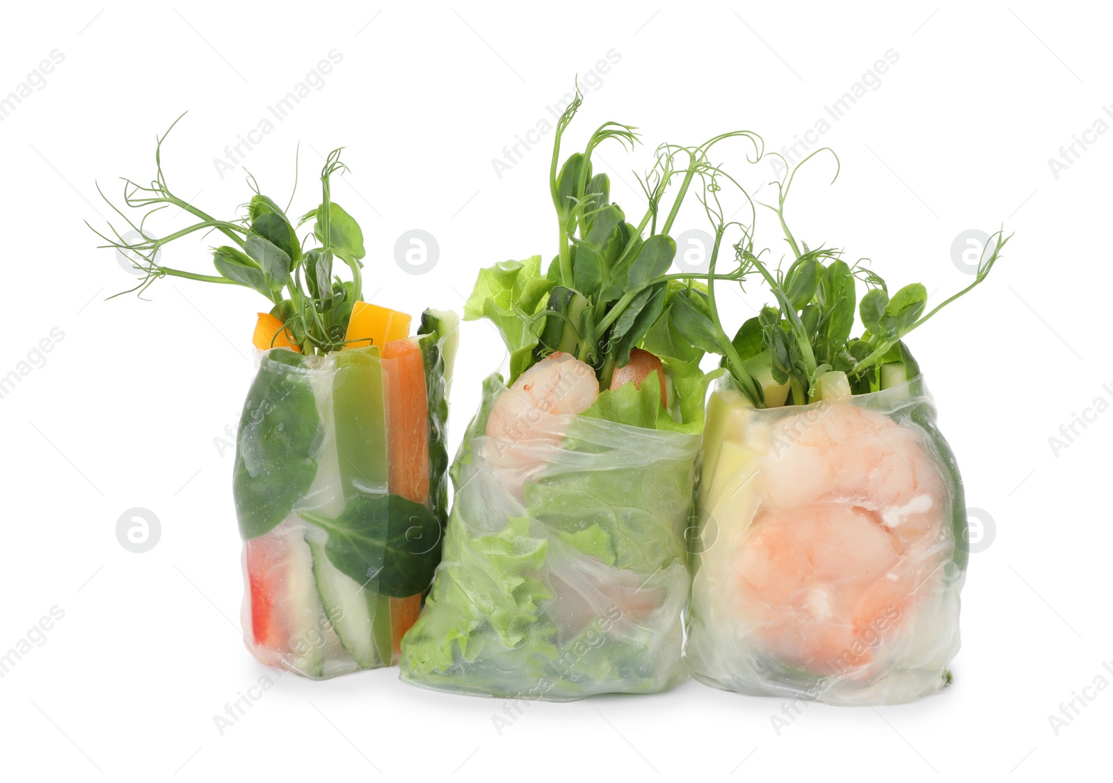 Photo of Different delicious rolls wrapped in rice paper isolated on white