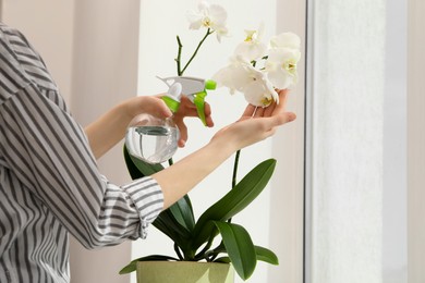 Photo of Woman spraying blooming white orchid flowers with water near window, closeup