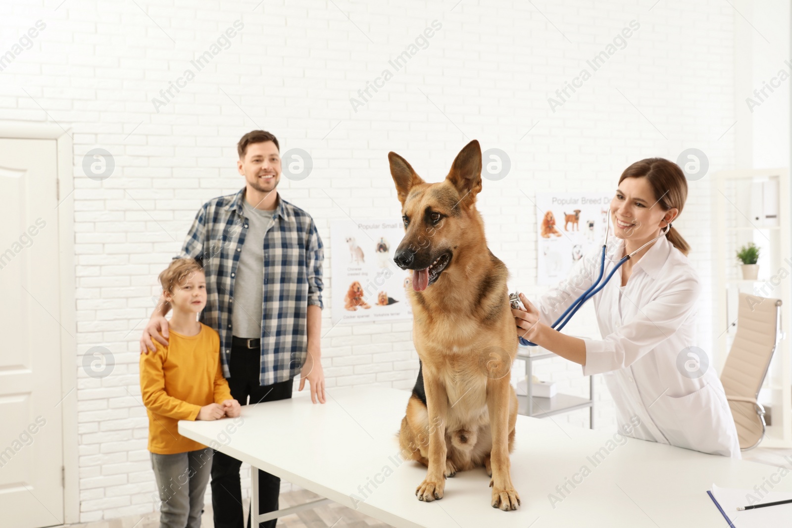 Photo of Father and son with their pet visiting veterinarian in clinic. Doc examining dog