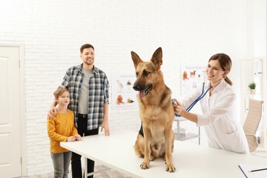 Photo of Father and son with their pet visiting veterinarian in clinic. Doc examining dog