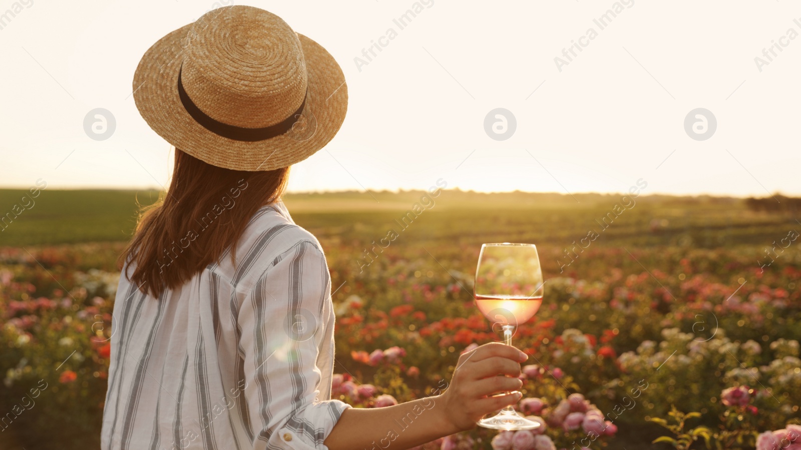 Photo of Woman with glass of wine in rose garden on sunny day. Space for text