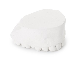 Photo of Dental model with gum isolated on white. Cast of teeth