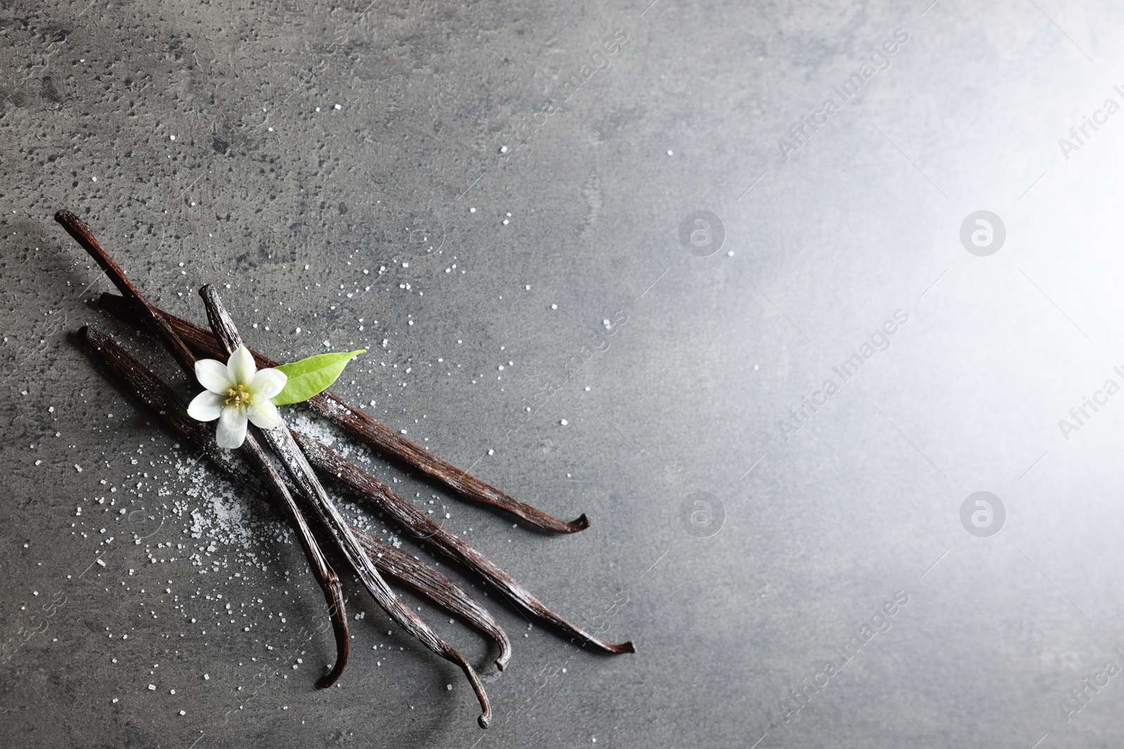 Photo of Vanilla pods, leaf and flower on grey textured table, top view. Space for text